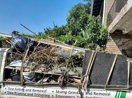 Best Dumpster Rental Services  in Durant, MS